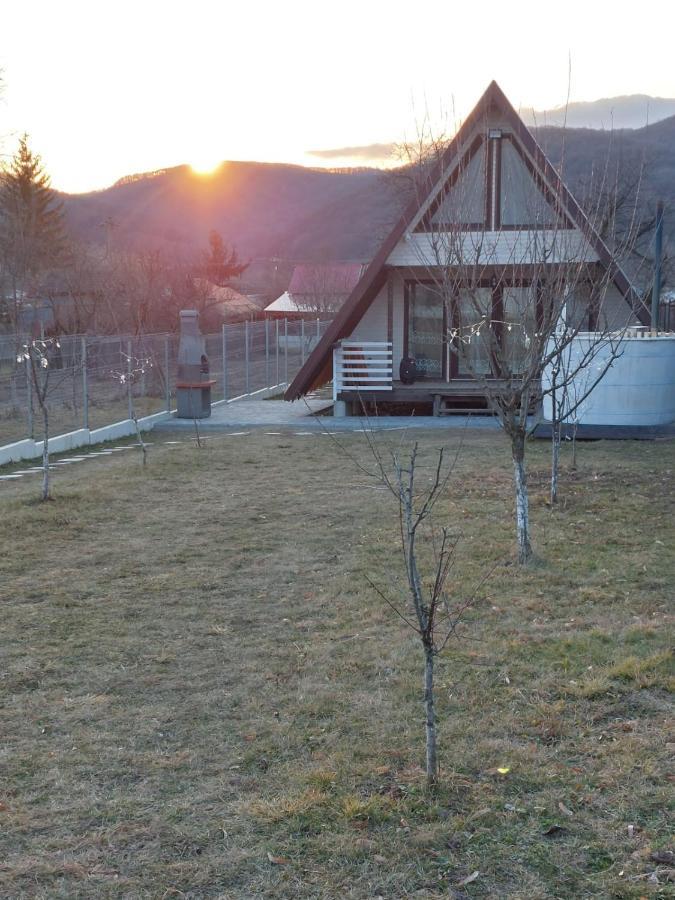 Cabana La Bica Magureni Экстерьер фото