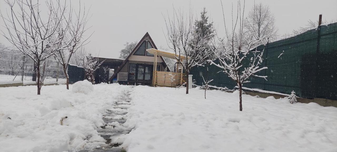 Cabana La Bica Magureni Экстерьер фото